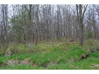 Property photo 89 - REAL ESTATE & PERSONAL PROPERTY AUCTION, 40 Acres offered in 4 Tracts or Combos