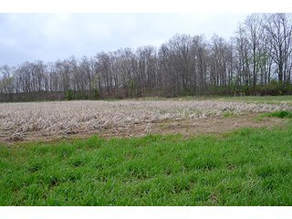Property photo 50 - REAL ESTATE & PERSONAL PROPERTY AUCTION, 40 Acres offered in 4 Tracts or Combos