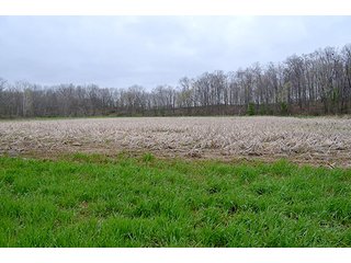 Property photo 8 - REAL ESTATE & PERSONAL PROPERTY AUCTION, 40 Acres offered in 4 Tracts or Combos