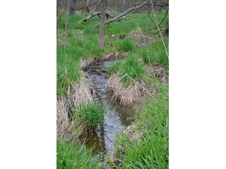 Property photo 69 - REAL ESTATE & PERSONAL PROPERTY AUCTION, 40 Acres offered in 4 Tracts or Combos