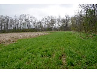 Property photo 82 - REAL ESTATE & PERSONAL PROPERTY AUCTION, 40 Acres offered in 4 Tracts or Combos