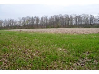 Property photo 83 - REAL ESTATE & PERSONAL PROPERTY AUCTION, 40 Acres offered in 4 Tracts or Combos
