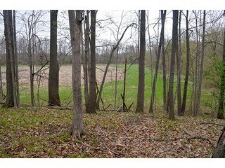 Property photo 71 - REAL ESTATE & PERSONAL PROPERTY AUCTION, 40 Acres offered in 4 Tracts or Combos