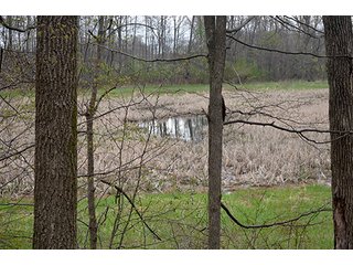 Property photo 9 - REAL ESTATE & PERSONAL PROPERTY AUCTION, 40 Acres offered in 4 Tracts or Combos