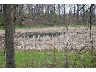 Property photo 101 - REAL ESTATE & PERSONAL PROPERTY AUCTION, 40 Acres offered in 4 Tracts or Combos