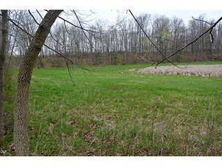 Property photo 58 - REAL ESTATE & PERSONAL PROPERTY AUCTION, 40 Acres offered in 4 Tracts or Combos