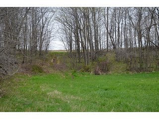 Property photo 94 - REAL ESTATE & PERSONAL PROPERTY AUCTION, 40 Acres offered in 4 Tracts or Combos