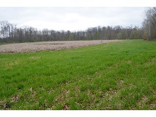 Property photo 6 - REAL ESTATE & PERSONAL PROPERTY AUCTION, 40 Acres offered in 4 Tracts or Combos