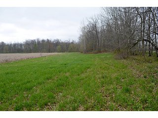 Property photo 97 - REAL ESTATE & PERSONAL PROPERTY AUCTION, 40 Acres offered in 4 Tracts or Combos