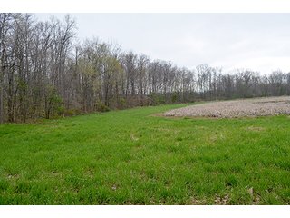 Property photo 43 - REAL ESTATE & PERSONAL PROPERTY AUCTION, 40 Acres offered in 4 Tracts or Combos