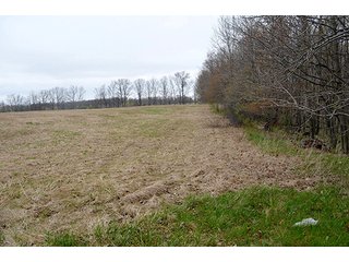 Property photo 12 - REAL ESTATE & PERSONAL PROPERTY AUCTION, 40 Acres offered in 4 Tracts or Combos
