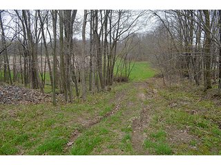 Property photo 21 - REAL ESTATE & PERSONAL PROPERTY AUCTION, 40 Acres offered in 4 Tracts or Combos