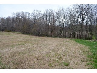 Property photo 47 - REAL ESTATE & PERSONAL PROPERTY AUCTION, 40 Acres offered in 4 Tracts or Combos
