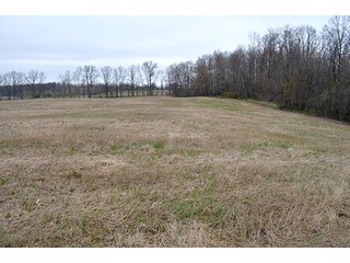 Property photo 90 - REAL ESTATE & PERSONAL PROPERTY AUCTION, 40 Acres offered in 4 Tracts or Combos