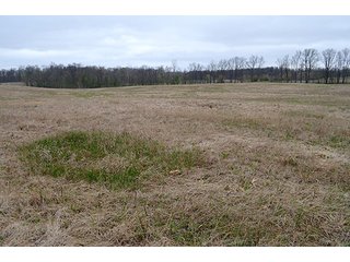 Property photo 96 - REAL ESTATE & PERSONAL PROPERTY AUCTION, 40 Acres offered in 4 Tracts or Combos