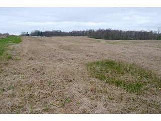Property photo 48 - REAL ESTATE & PERSONAL PROPERTY AUCTION, 40 Acres offered in 4 Tracts or Combos