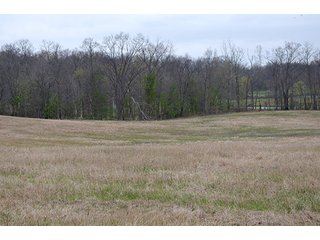 Property photo 93 - REAL ESTATE & PERSONAL PROPERTY AUCTION, 40 Acres offered in 4 Tracts or Combos