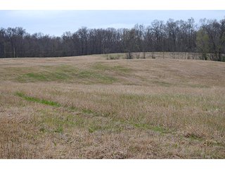Property photo 27 - REAL ESTATE & PERSONAL PROPERTY AUCTION, 40 Acres offered in 4 Tracts or Combos