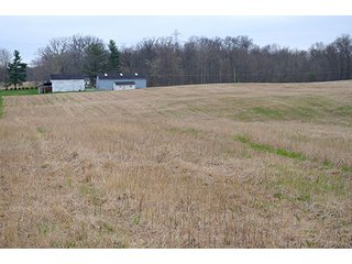 Property photo 40 - REAL ESTATE & PERSONAL PROPERTY AUCTION, 40 Acres offered in 4 Tracts or Combos