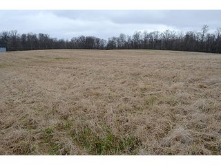 Property photo 57 - REAL ESTATE & PERSONAL PROPERTY AUCTION, 40 Acres offered in 4 Tracts or Combos