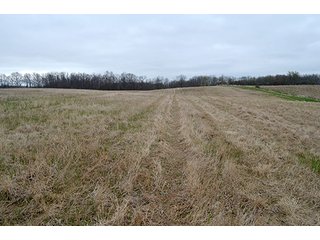 Property photo 5 - REAL ESTATE & PERSONAL PROPERTY AUCTION, 40 Acres offered in 4 Tracts or Combos