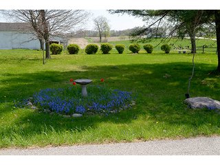 Property photo 117 - REAL ESTATE & PERSONAL PROPERTY AUCTION, 40 Acres offered in 4 Tracts or Combos