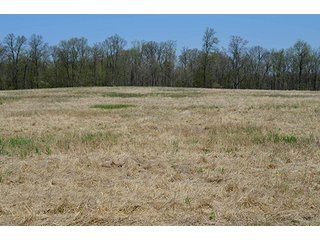 Property photo 10 - REAL ESTATE & PERSONAL PROPERTY AUCTION, 40 Acres offered in 4 Tracts or Combos
