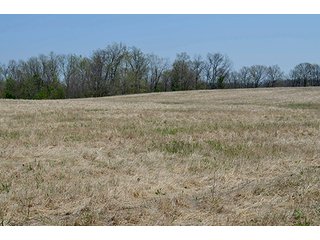 Property photo 88 - REAL ESTATE & PERSONAL PROPERTY AUCTION, 40 Acres offered in 4 Tracts or Combos