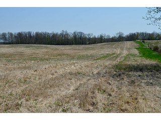 Property photo 1 - REAL ESTATE & PERSONAL PROPERTY AUCTION, 40 Acres offered in 4 Tracts or Combos