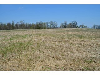 Property photo 44 - REAL ESTATE & PERSONAL PROPERTY AUCTION, 40 Acres offered in 4 Tracts or Combos