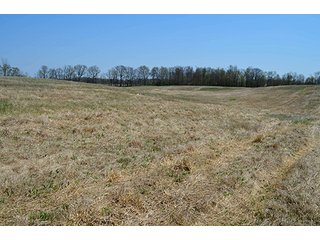 Property photo 74 - REAL ESTATE & PERSONAL PROPERTY AUCTION, 40 Acres offered in 4 Tracts or Combos