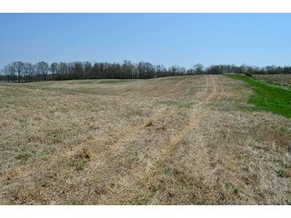 Property photo 55 - REAL ESTATE & PERSONAL PROPERTY AUCTION, 40 Acres offered in 4 Tracts or Combos
