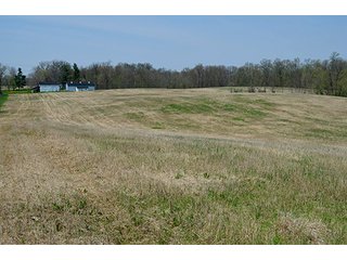 Property photo 18 - REAL ESTATE & PERSONAL PROPERTY AUCTION, 40 Acres offered in 4 Tracts or Combos