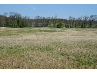 Property photo 78 - REAL ESTATE & PERSONAL PROPERTY AUCTION, 40 Acres offered in 4 Tracts or Combos