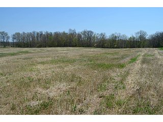 Property photo 49 - REAL ESTATE & PERSONAL PROPERTY AUCTION, 40 Acres offered in 4 Tracts or Combos