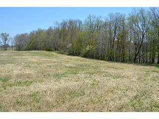 Property photo 91 - REAL ESTATE & PERSONAL PROPERTY AUCTION, 40 Acres offered in 4 Tracts or Combos
