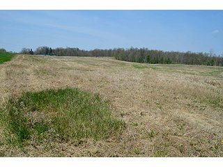Property photo 100 - REAL ESTATE & PERSONAL PROPERTY AUCTION, 40 Acres offered in 4 Tracts or Combos