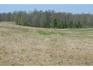 Property photo 95 - REAL ESTATE & PERSONAL PROPERTY AUCTION, 40 Acres offered in 4 Tracts or Combos