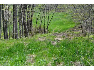 Property photo 29 - REAL ESTATE & PERSONAL PROPERTY AUCTION, 40 Acres offered in 4 Tracts or Combos