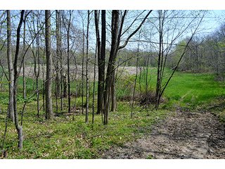 Property photo 98 - REAL ESTATE & PERSONAL PROPERTY AUCTION, 40 Acres offered in 4 Tracts or Combos