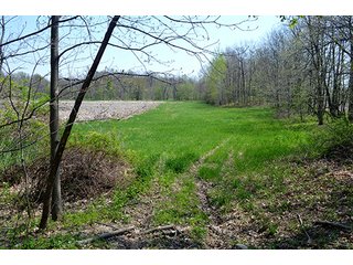 Property photo 84 - REAL ESTATE & PERSONAL PROPERTY AUCTION, 40 Acres offered in 4 Tracts or Combos