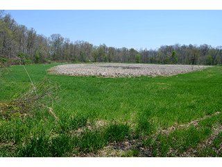 Property photo 19 - REAL ESTATE & PERSONAL PROPERTY AUCTION, 40 Acres offered in 4 Tracts or Combos