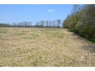 Property photo 45 - REAL ESTATE & PERSONAL PROPERTY AUCTION, 40 Acres offered in 4 Tracts or Combos