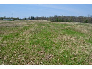Property photo 61 - REAL ESTATE & PERSONAL PROPERTY AUCTION, 40 Acres offered in 4 Tracts or Combos