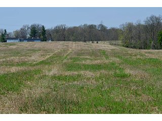 Property photo 53 - REAL ESTATE & PERSONAL PROPERTY AUCTION, 40 Acres offered in 4 Tracts or Combos