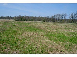 Property photo 20 - REAL ESTATE & PERSONAL PROPERTY AUCTION, 40 Acres offered in 4 Tracts or Combos
