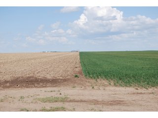 Property photo 6 - LAND AUCTION, 1958+/- Acres offered in 5 Tracts