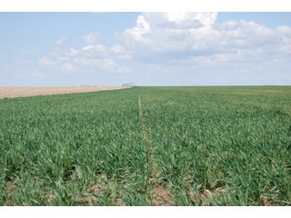 Property photo 8 - LAND AUCTION, 1958+/- Acres offered in 5 Tracts
