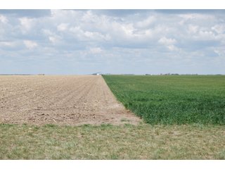 Property photo 13 - LAND AUCTION, 1958+/- Acres offered in 5 Tracts