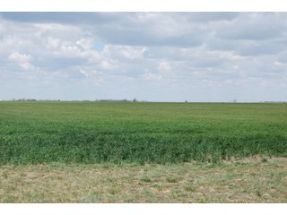 Property photo 12 - LAND AUCTION, 1958+/- Acres offered in 5 Tracts